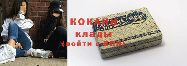 крисы Алзамай