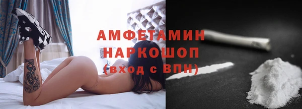 крисы Алзамай