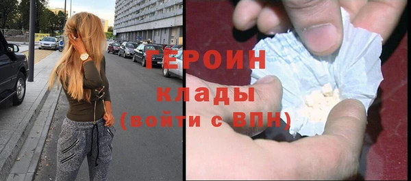 индика Арсеньев