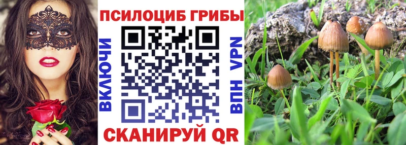 Псилоцибиновые грибы MAGIC MUSHROOMS  Ессентукская 